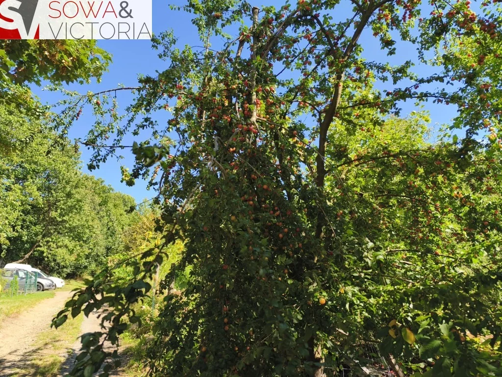 2 pokoje, mieszkanie 78,20 m², piętro 2, oferta nr , 1524/14328/OMS, Walim