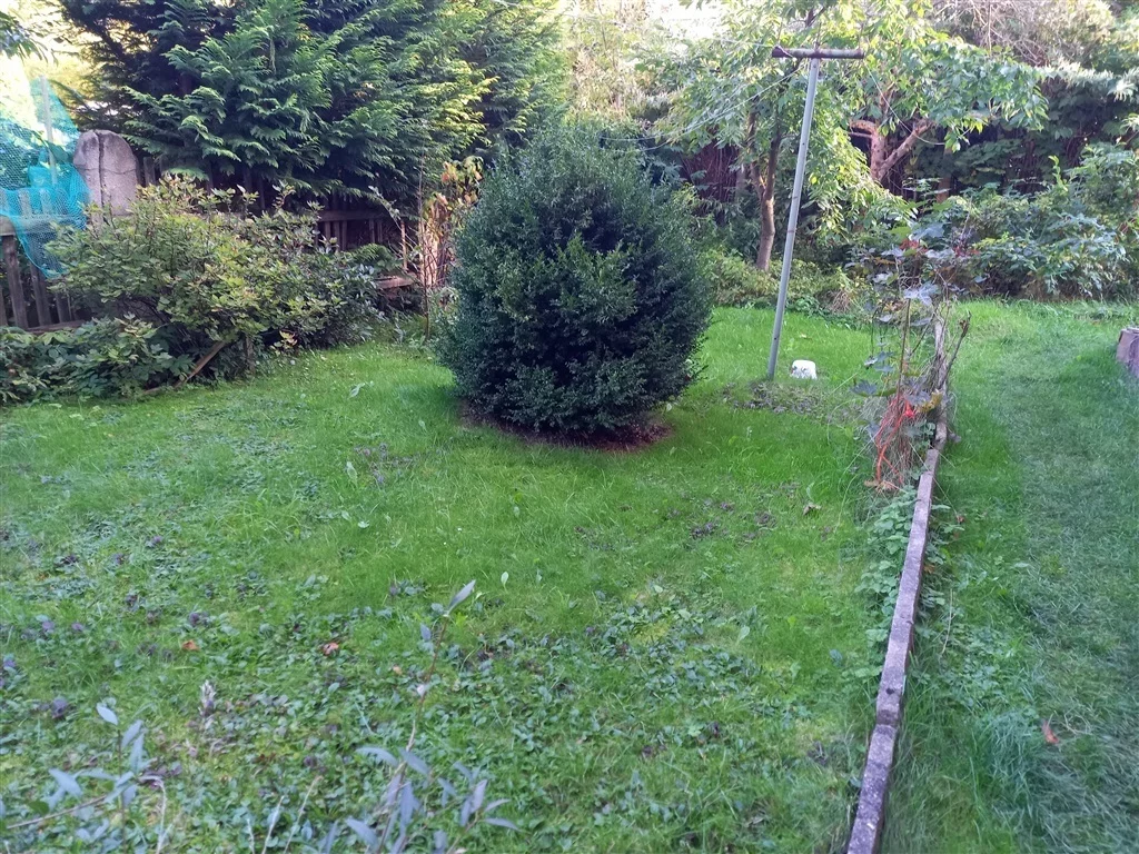 5 pokoi, mieszkanie 130,36 m², piętro 2, oferta nr , 297/14328/OMS, Szczawno-Zdrój