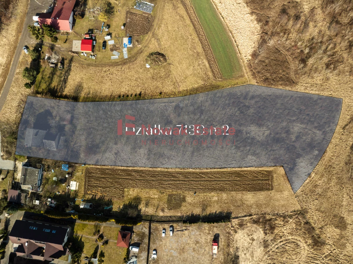 NEO396920 - zdjęcie nr 0