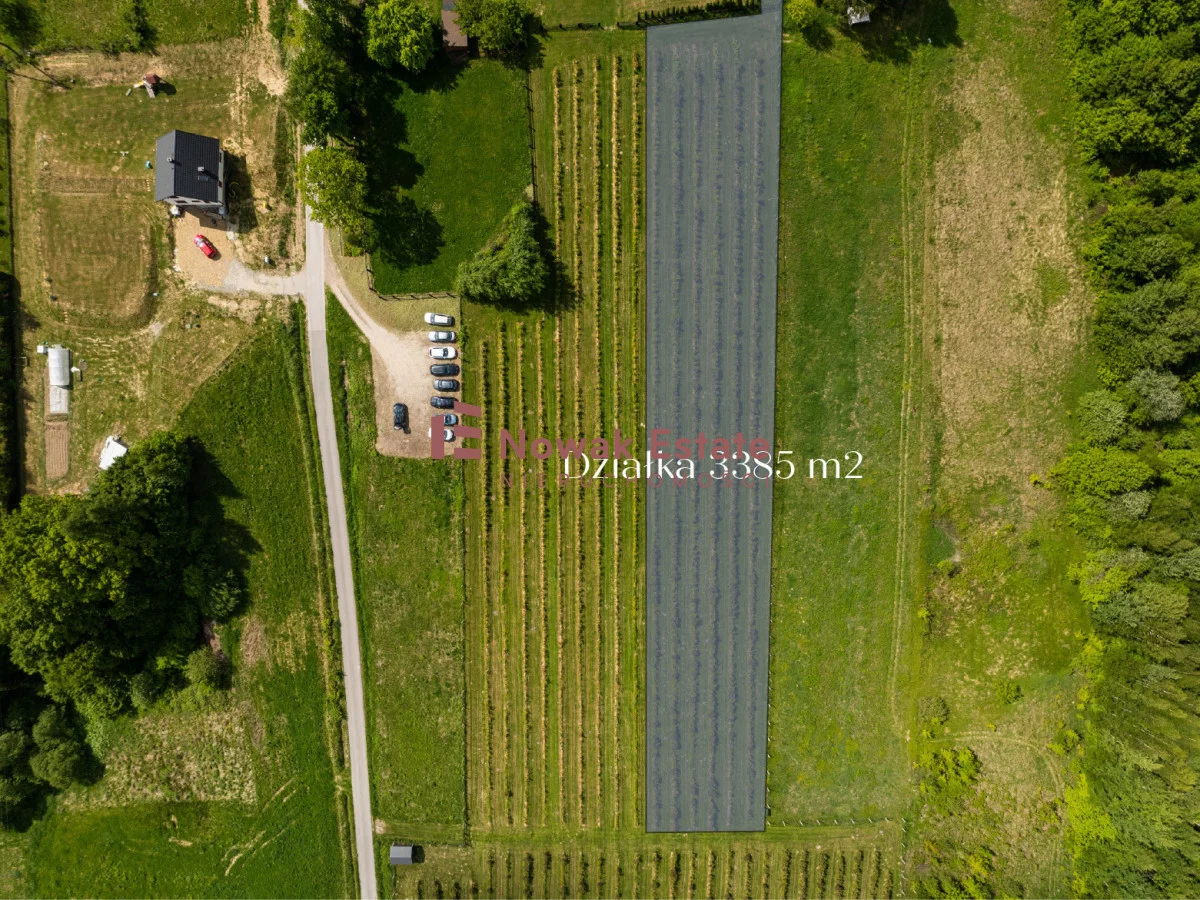 NEO607166 - zdjęcie nr 0