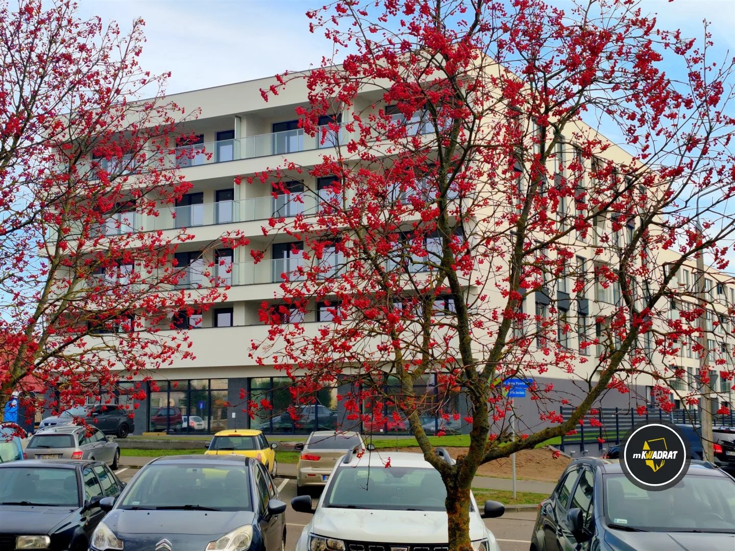 MKW-MS-1573 - zdjęcie nr 3