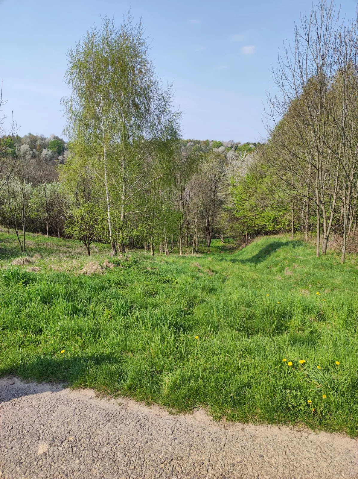 Działka 11 600,00 m², oferta nr , Dzialka Straszydle 1673 Jony, Straszydle, 1673/3