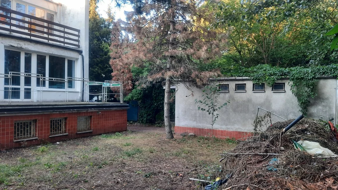10248700 - zdjęcie nr 1