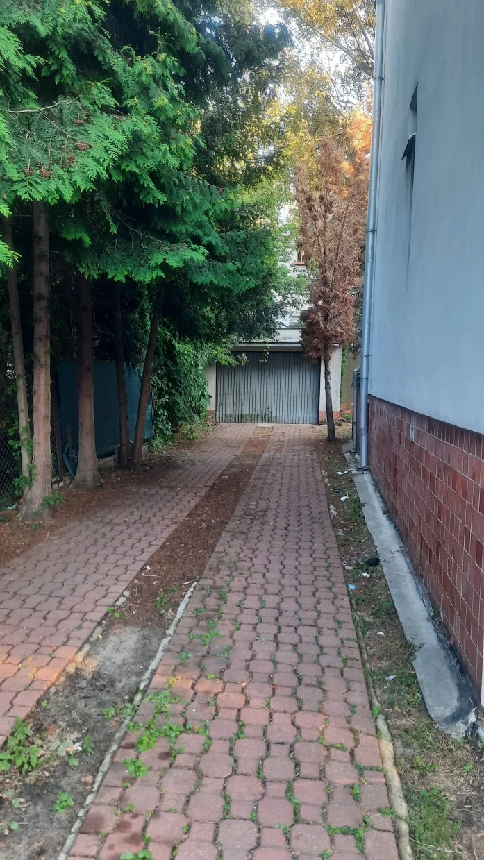 10248700 - zdjęcie nr 2