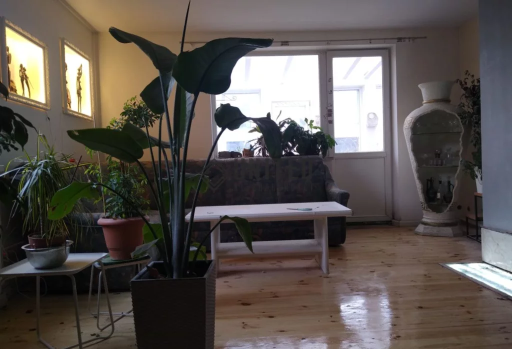Dom i rezydencja 200,00 m², oferta nr , 530/10630/ODS, Wrocław, Swojczyce-Strachocin-Wojnów, Wojnów, Strumykowa