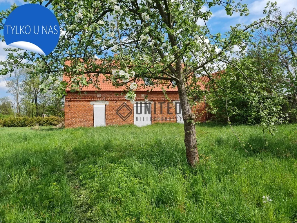 537/10630/ODS - zdjęcie nr 0