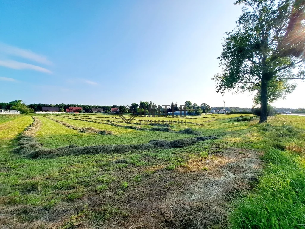 Działka 11 265,00 m², oferta nr , 47/10630/OGS, Borowa, Klonowa