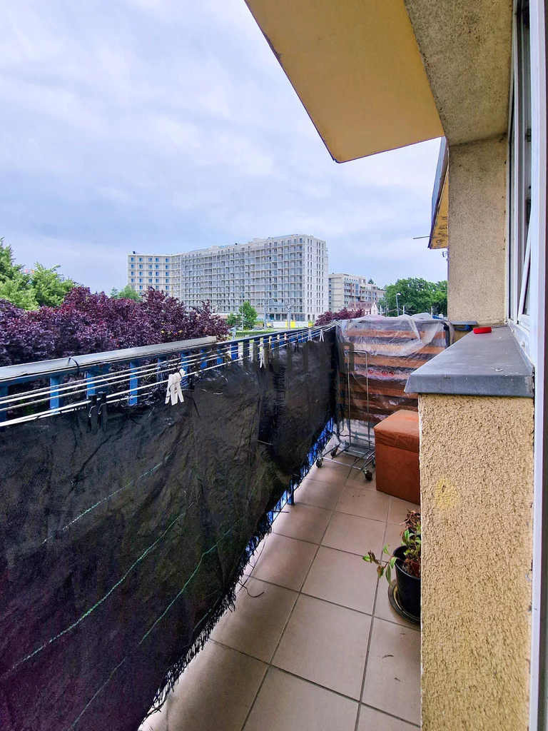 1 pokój, mieszkanie 25,40 m², piętro 1, oferta nr , 16398/10630/OMS, Wrocław, Grabiszyn-Grabiszynek, Grabiszyn, skwer ELWRO