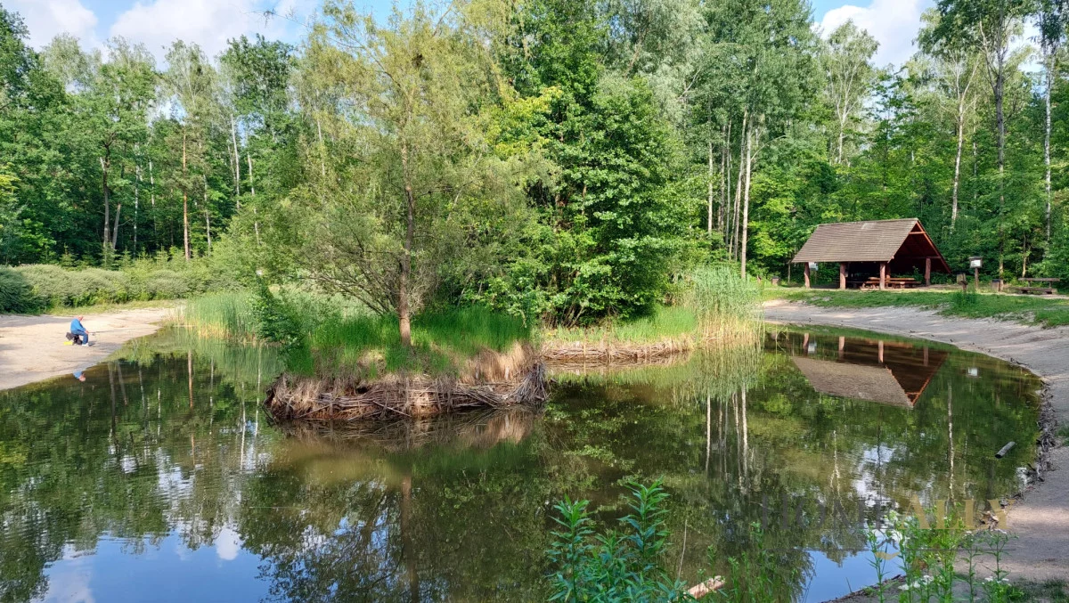 Dom 245,97 m², oferta nr , 142577, Warszawa, Wesoła, Wesoła