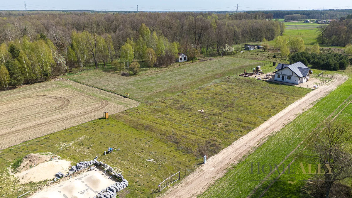 493681 - zdjęcie nr 3