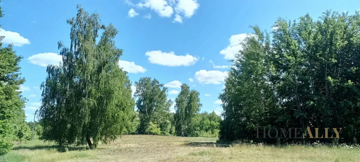 Działka 18 150,00 m², oferta nr , 798455, Zazdrość