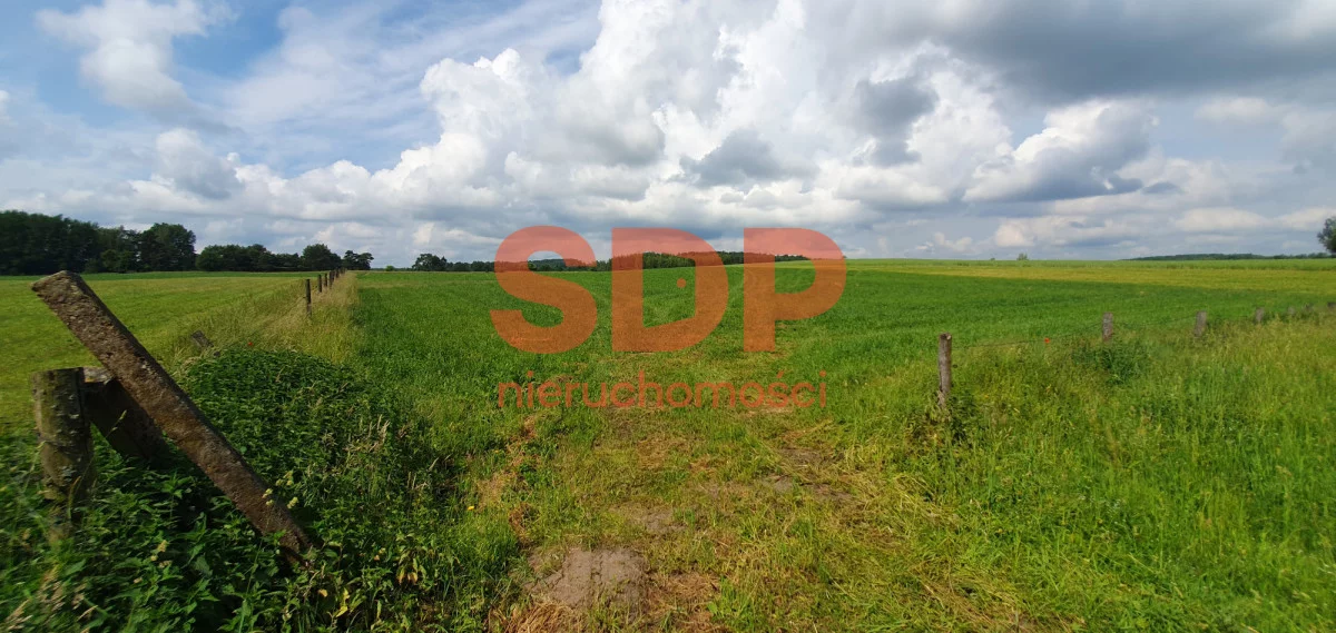 SDP372892 - zdjęcie nr 3