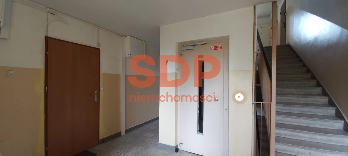 SDP528151 - zdjęcie nr 4