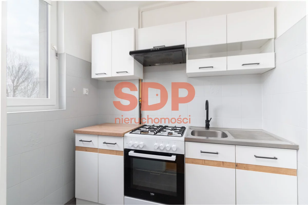 SDP245608 - zdjęcie nr 2