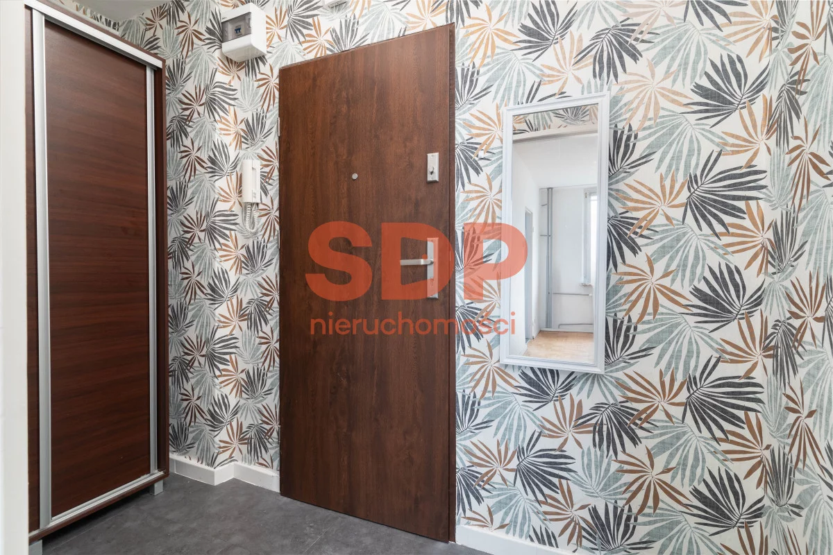 SDP245608 - zdjęcie nr 3