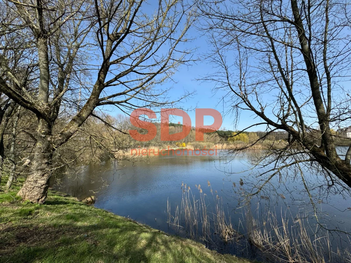 SDP695795 - zdjęcie nr 1