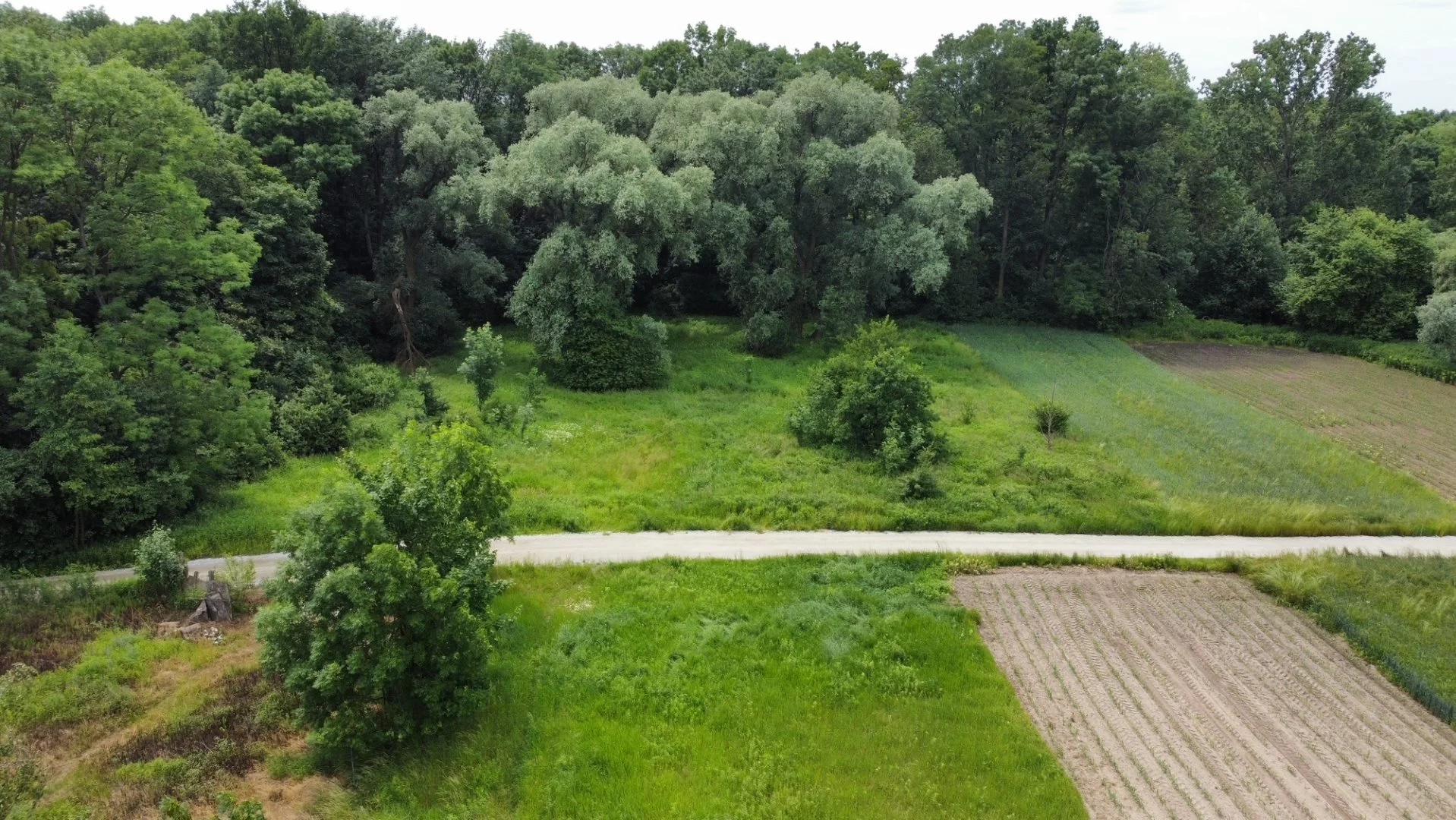 Działka 2 700,00 m², oferta nr , FDM-GS-5205, Kąty Wrocławskie