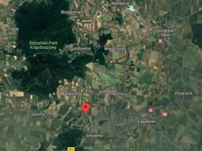 Działka 37 800,00 m², oferta nr , FDM-GS-5313, Łagiewniki