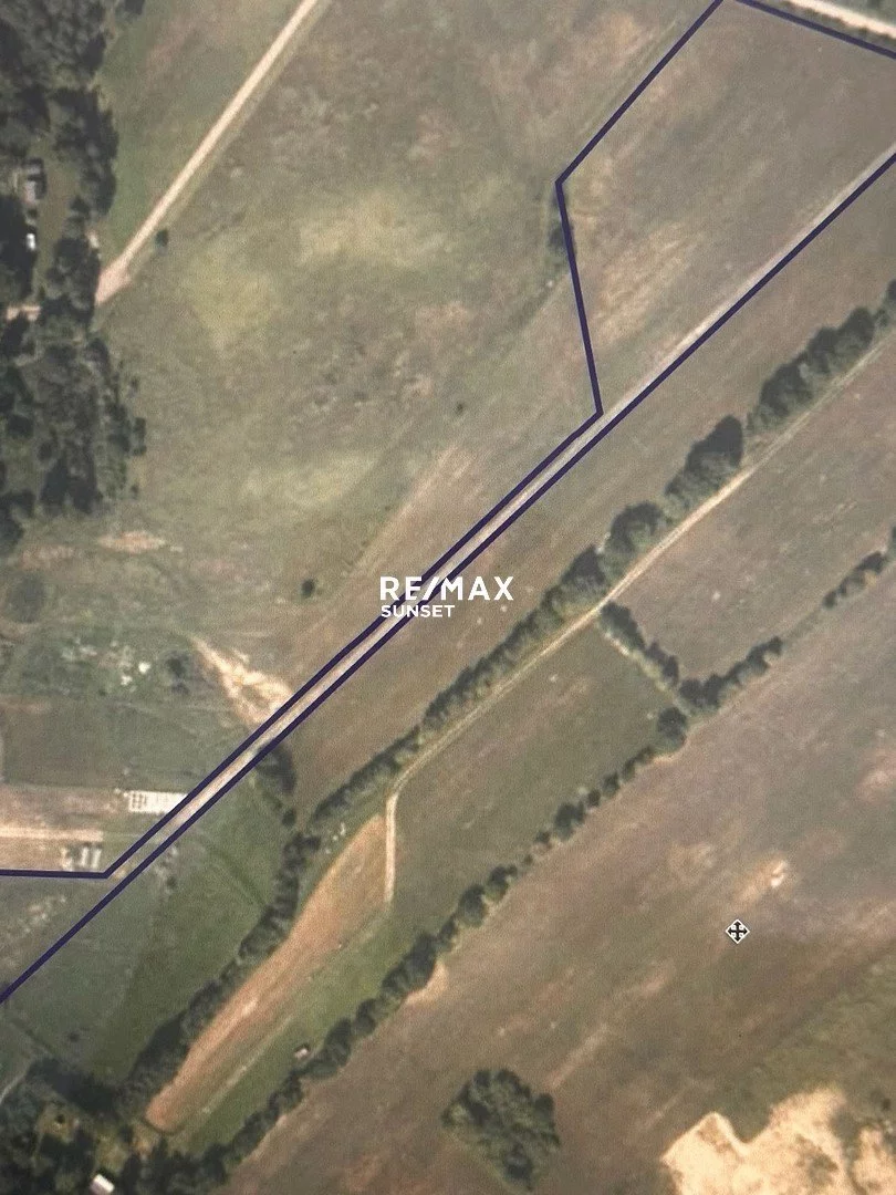 Działka 20 368,00 m², oferta nr , 124-GS-Dzj9ONuoY8, Żółte