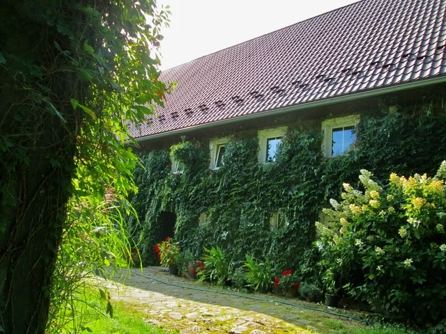 832629 - zdjęcie nr 0