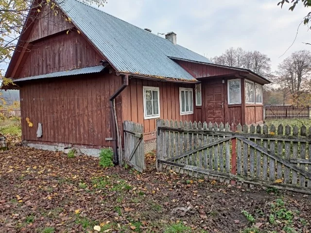 824756 - zdjęcie nr 3