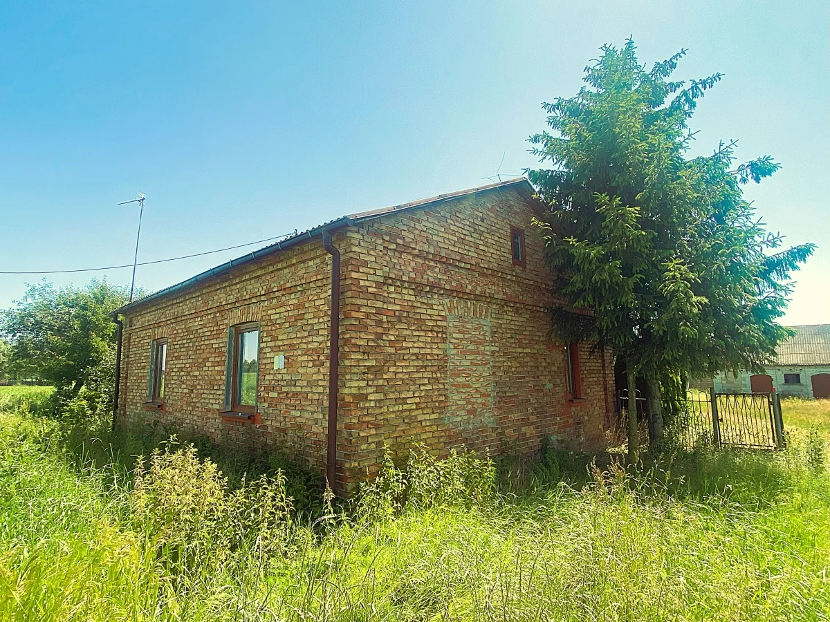 833054 - zdjęcie nr 1