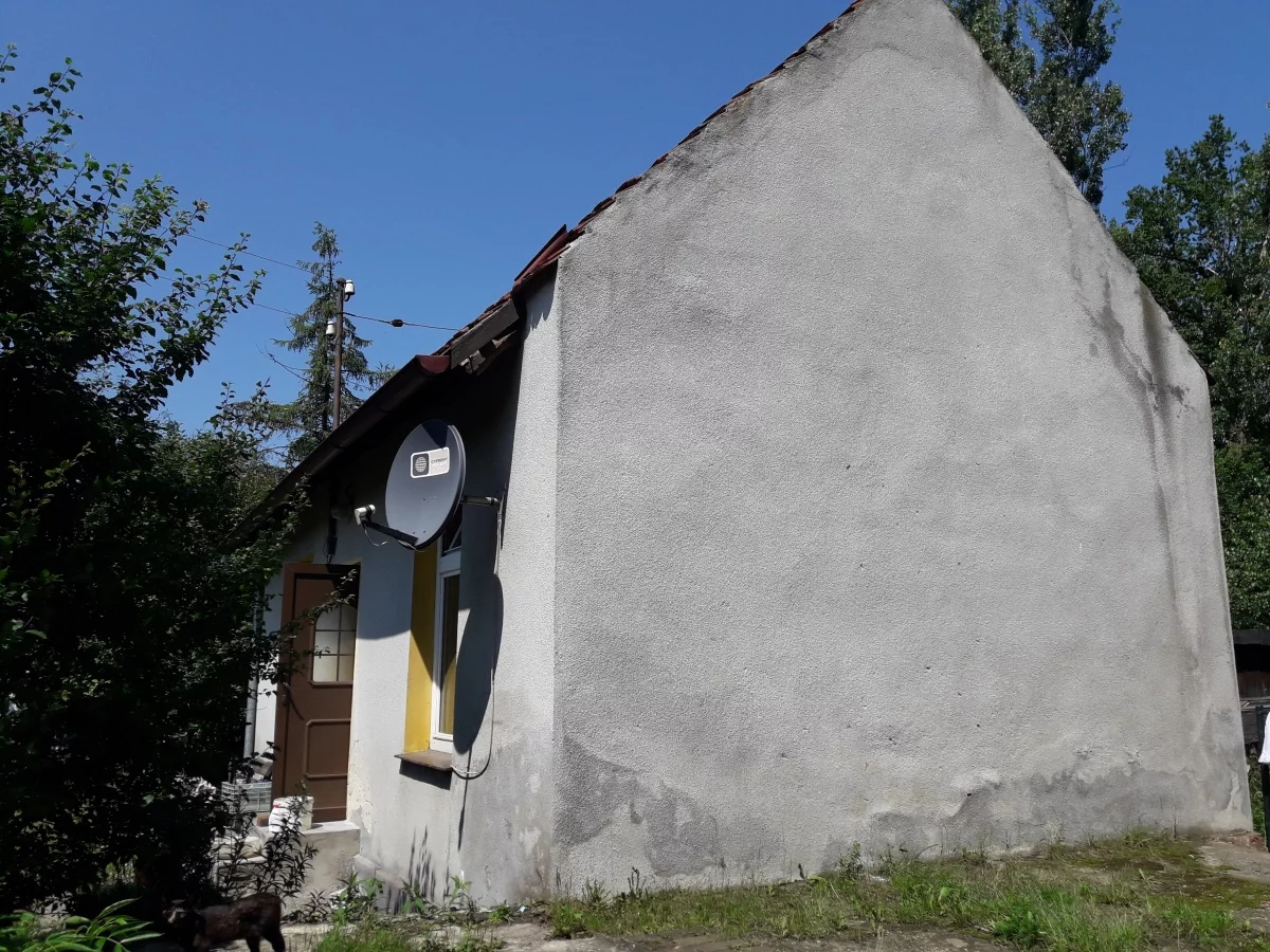 833666 - zdjęcie nr 0