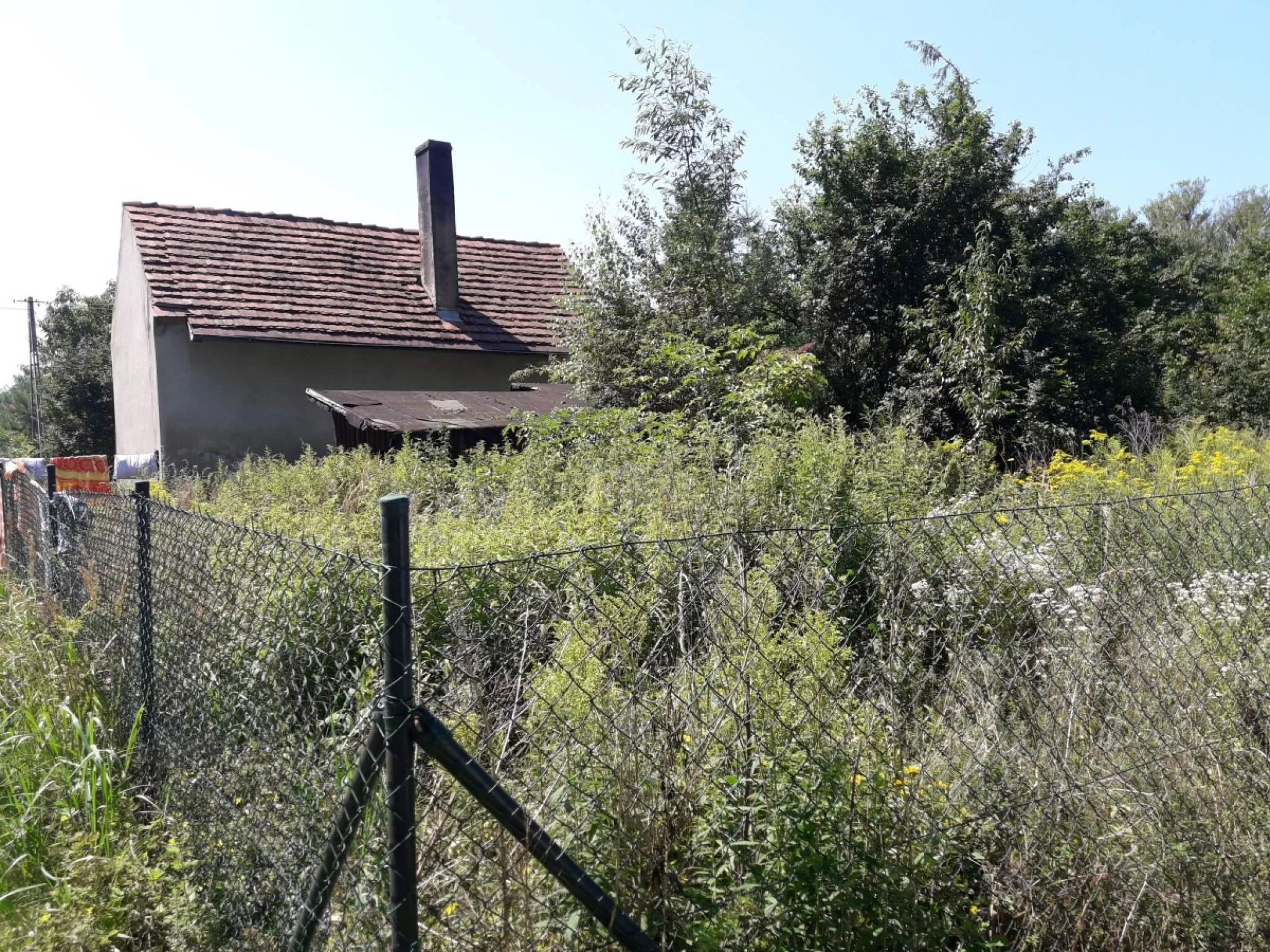 833666 - zdjęcie nr 1