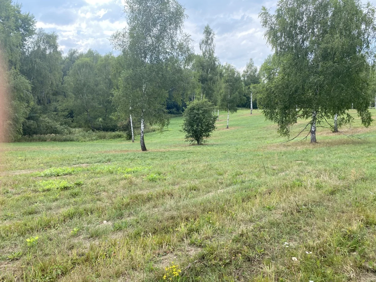 833608 - zdjęcie nr 3