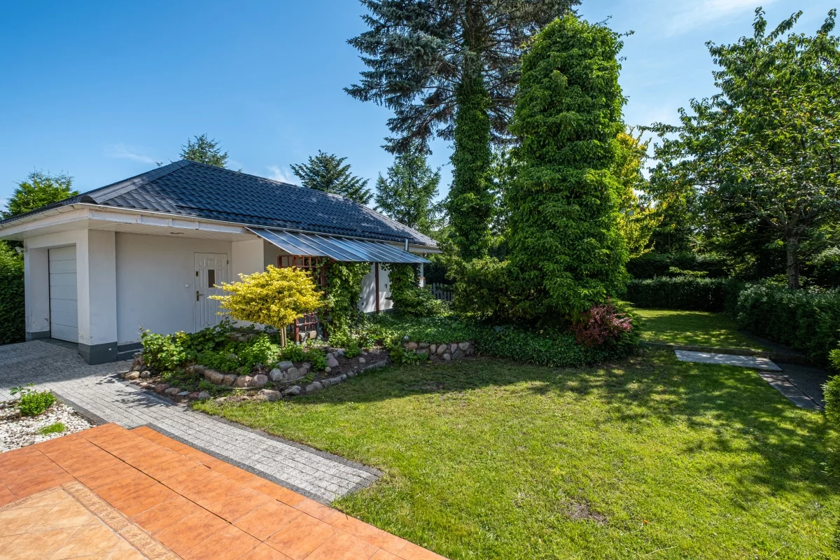 833371 - zdjęcie nr 3