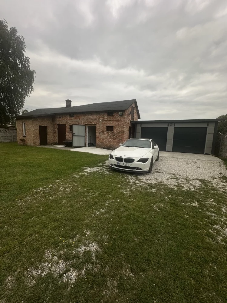 833099 - zdjęcie nr 1