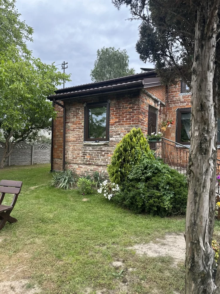 833099 - zdjęcie nr 2
