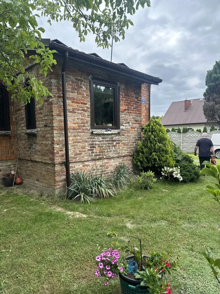 833099 - zdjęcie nr 3