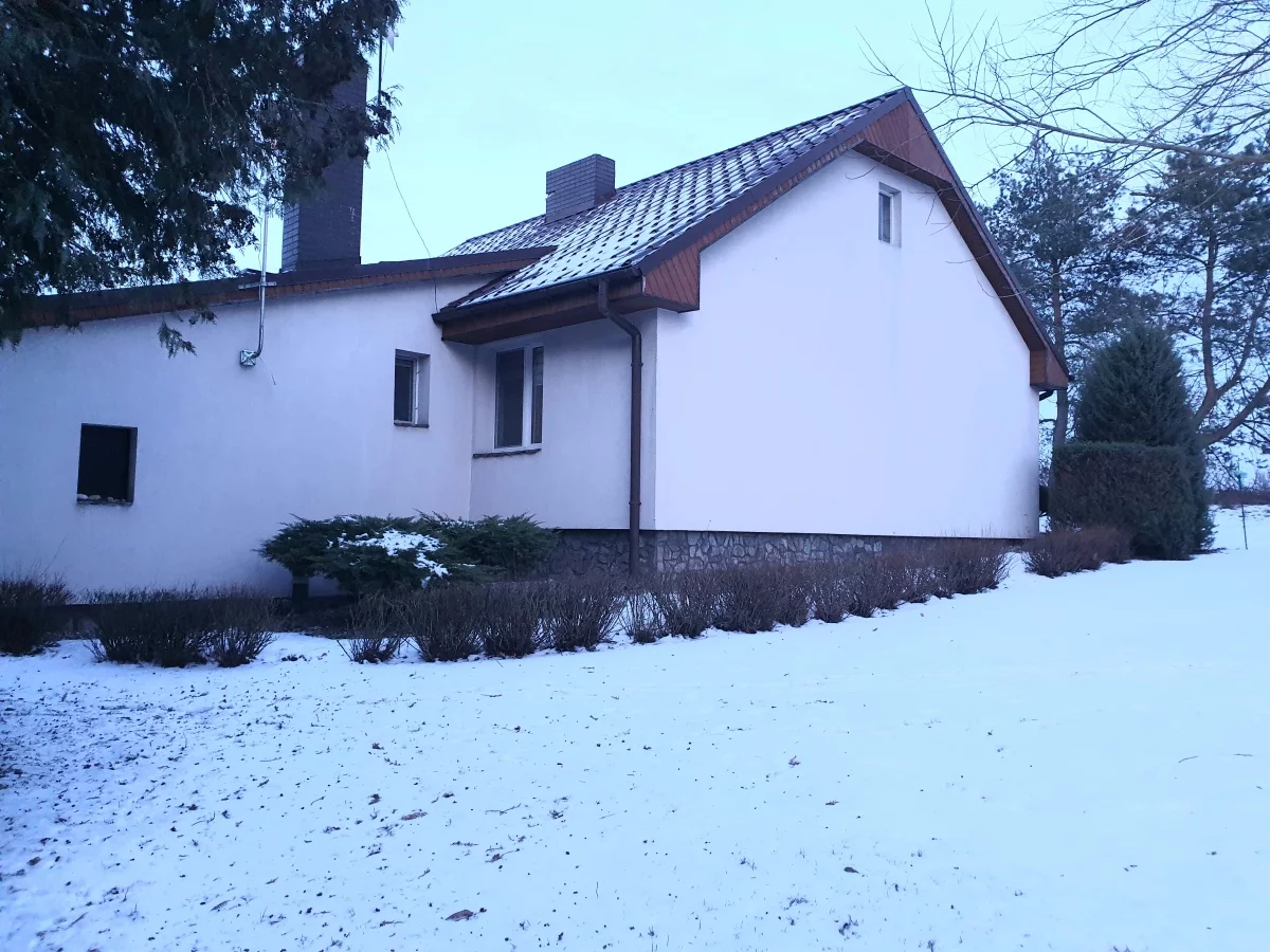 832289 - zdjęcie nr 1