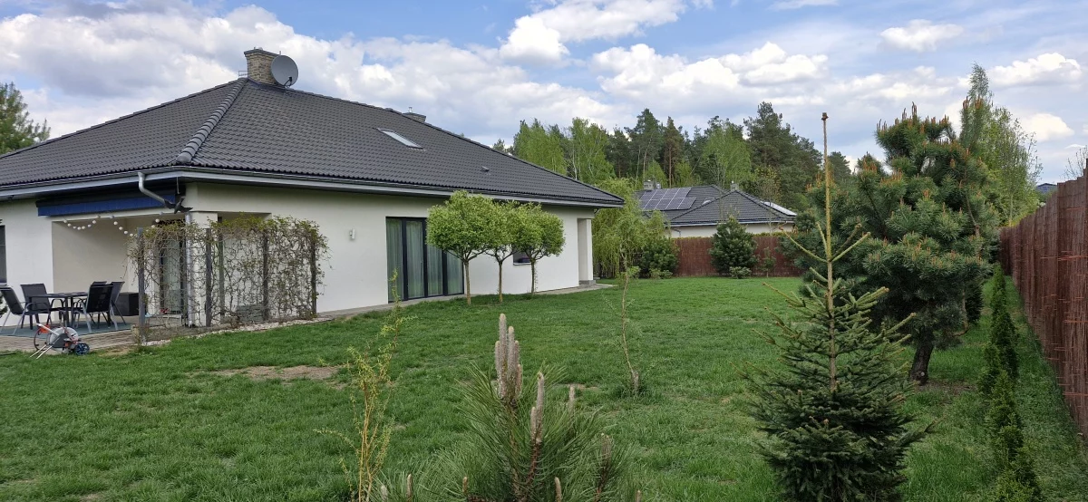 833431 - zdjęcie nr 0