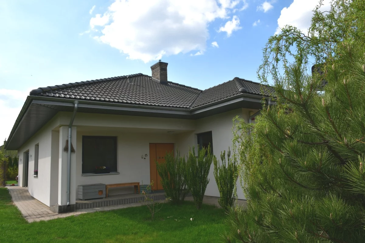 833431 - zdjęcie nr 1