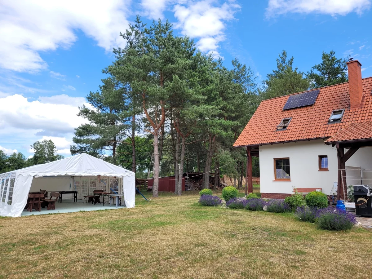 833690 - zdjęcie nr 0