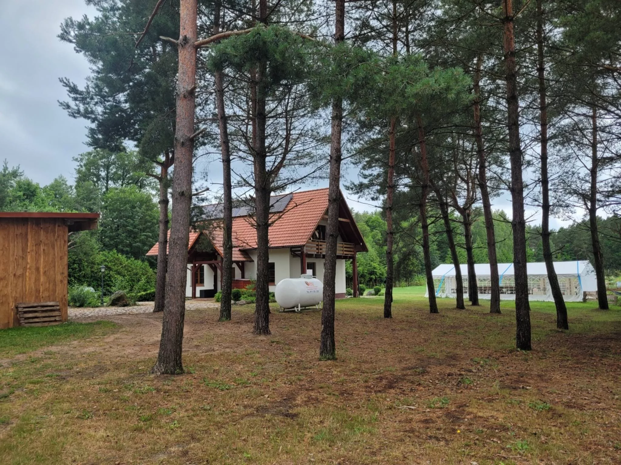 833690 - zdjęcie nr 2