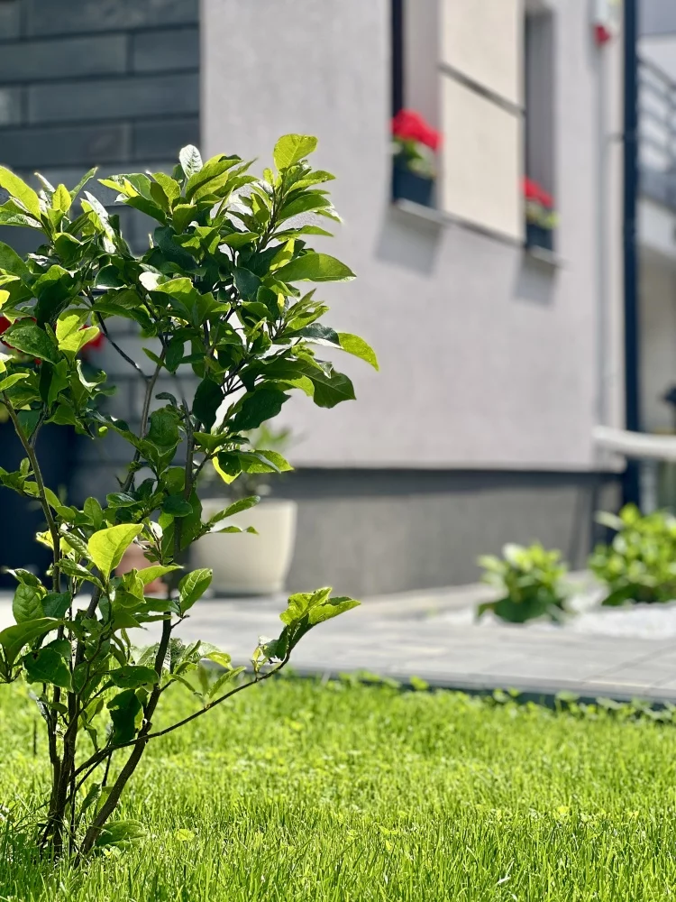 Dom i rezydencja 101,00 m², oferta nr , 832951, Trzciany
