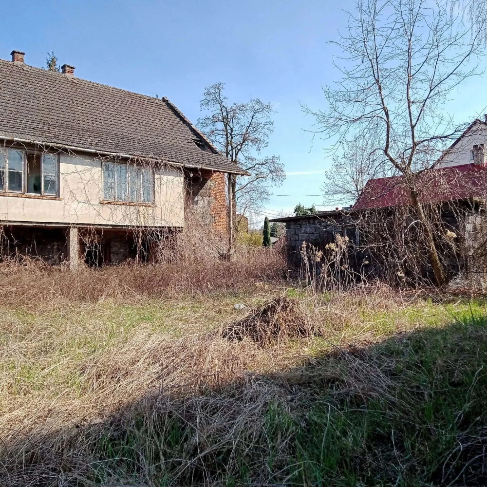 832291 - zdjęcie nr 3