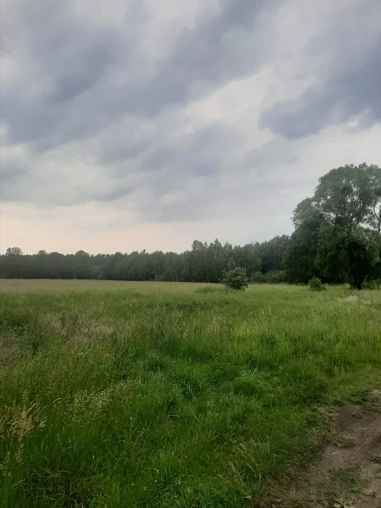 832871 - zdjęcie nr 4