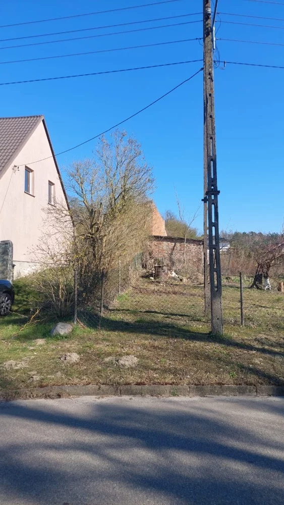 833420 - zdjęcie nr 1