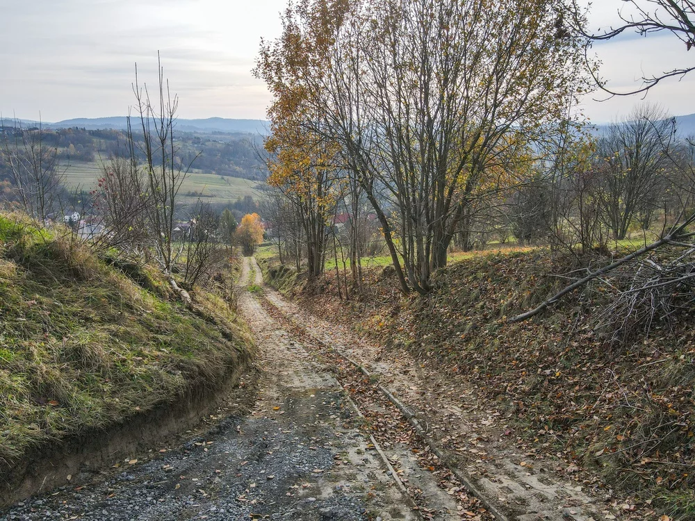 831657 - zdjęcie nr 3
