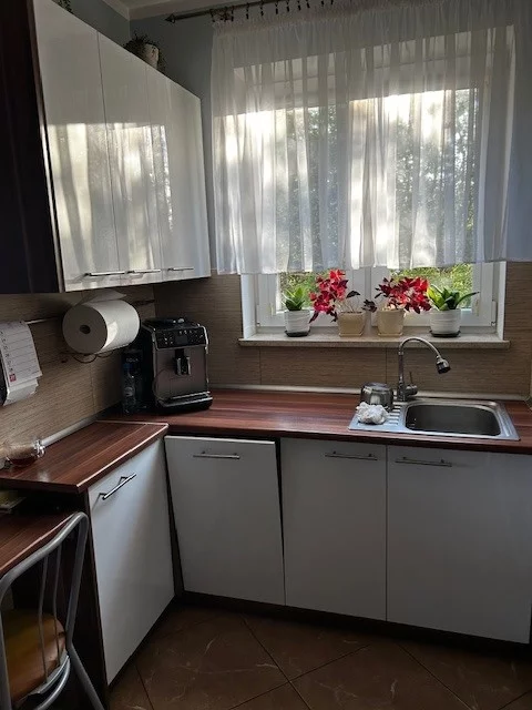 833964 - zdjęcie nr 2