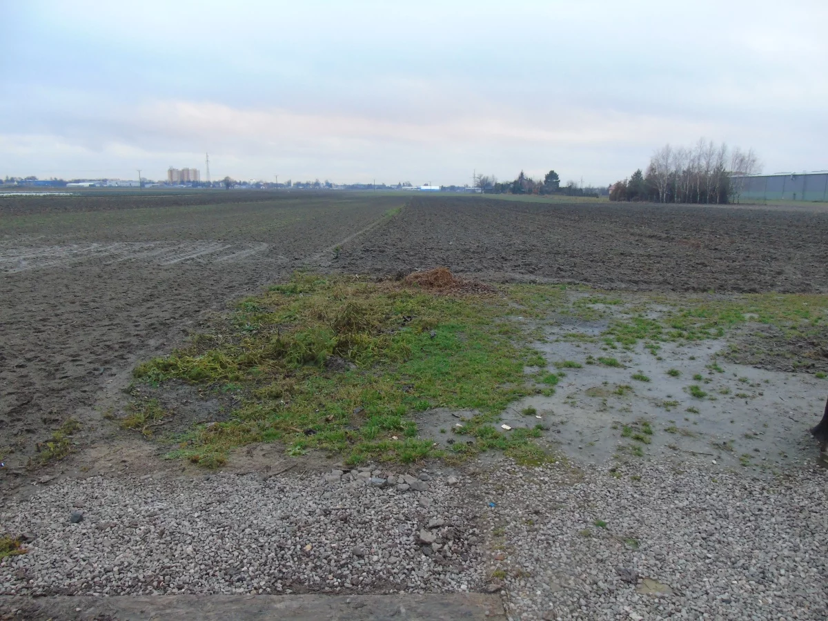 Dom 165,00 m², oferta nr , 830988, Ożarów Mazowiecki