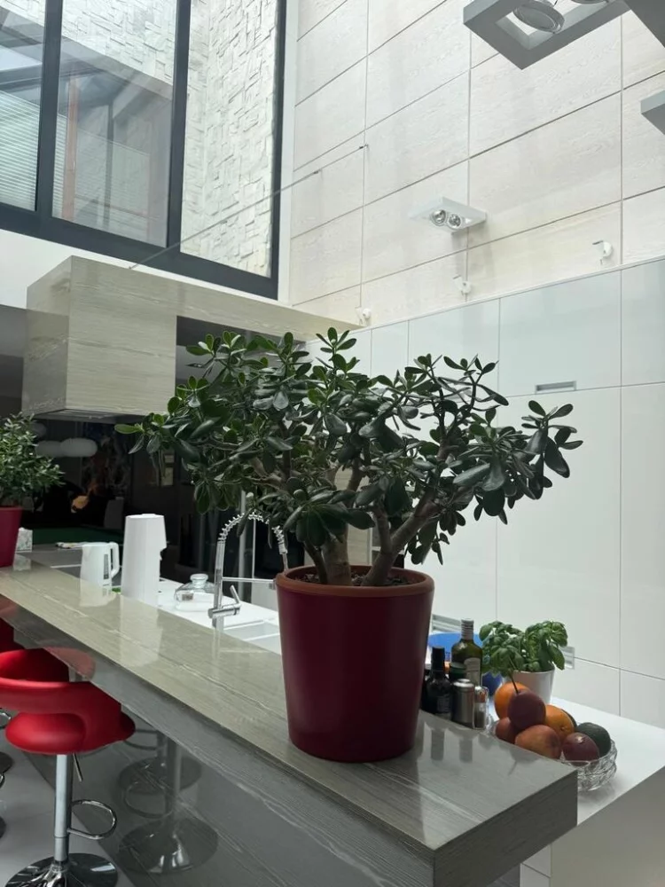 Dom 400,00 m², oferta nr , 834049, Piaseczno, Żabieniec przy ulicy Ustronie