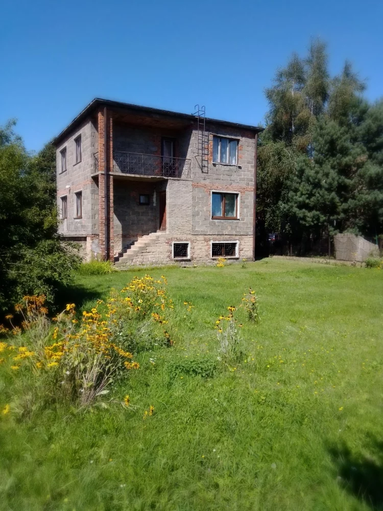 833737 - zdjęcie nr 1