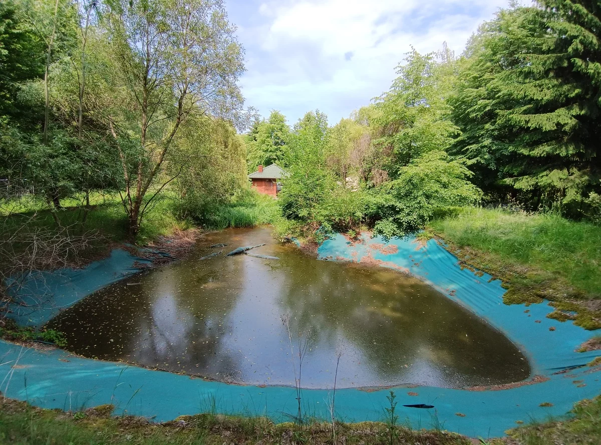 Dom 250,00 m², oferta nr , 833816, Zalesie, Grodziska
