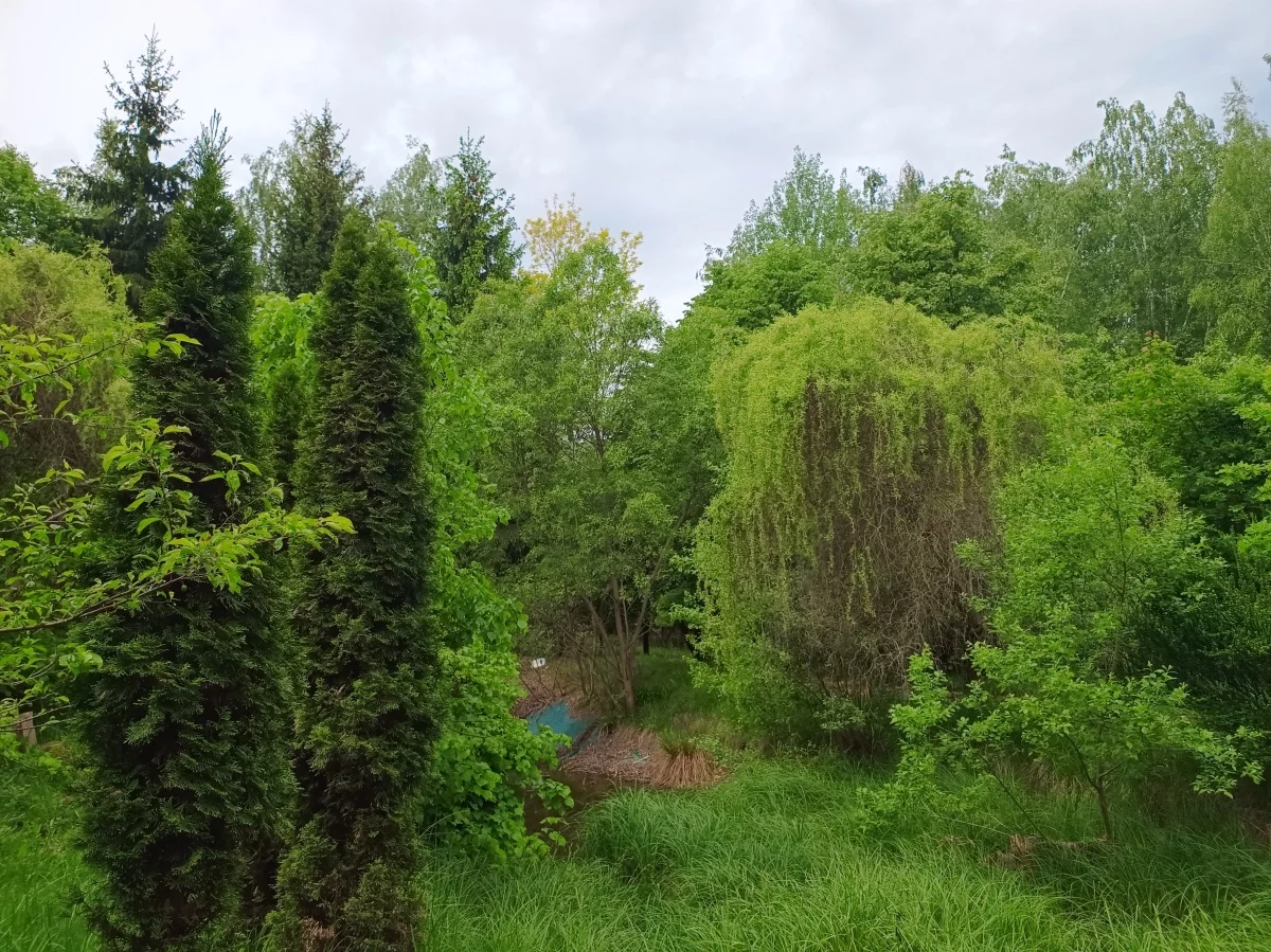 Dom 250,00 m², oferta nr , 833816, Zalesie, Grodziska