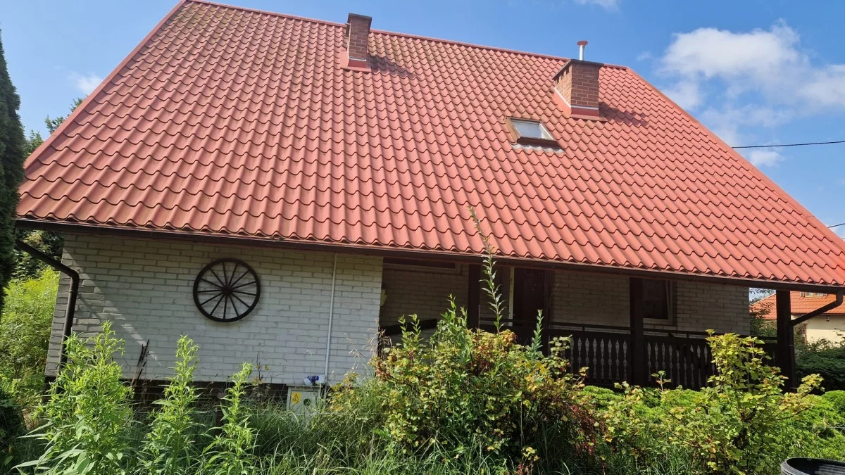 833682 - zdjęcie nr 0